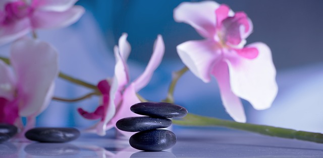 orchids and balanced stones